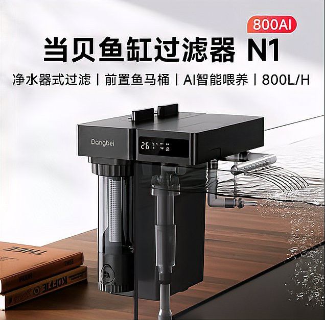 哪種過濾系統最適合小火龍魚？