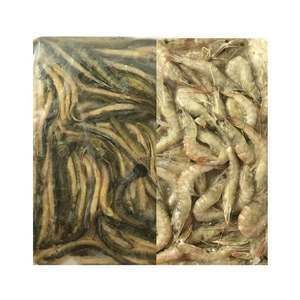 龍魚可以喂蝦仁嗎