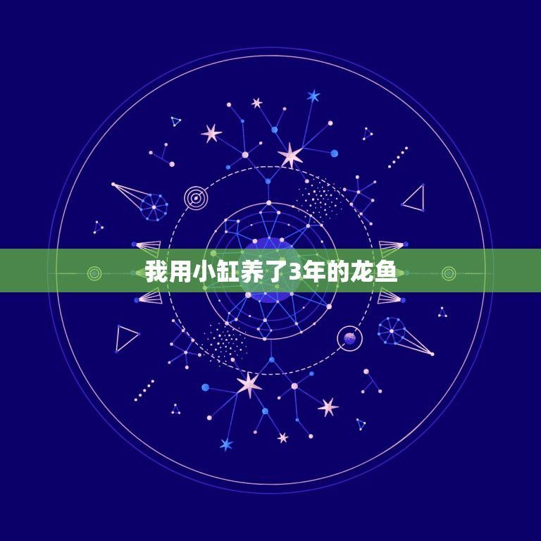 60小缸養銀龍魚成功（60厘米的魚缸可以養銀龍魚嗎？）