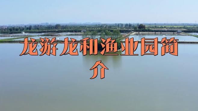 龍游龍與漁業(yè)園的創(chuàng)始人背景和歷史