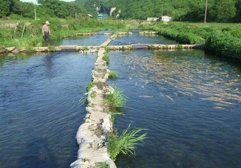 龍游龍與漁業園的創始人背景和歷史