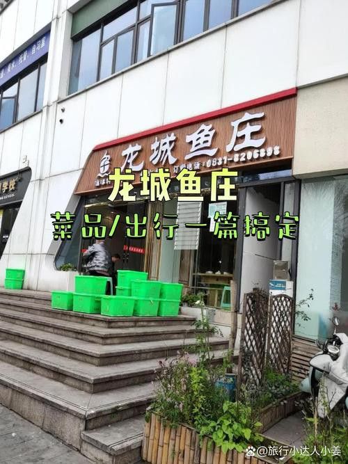 唐山龍魚去哪買 唐山龍魚去哪買 龍魚百科 第6張