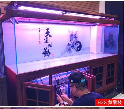 龍魚喂飼料好消化嗎為什么不吃東西：龍魚喂飼料是否好消化 龍魚喂飼料好消化嗎為什么不吃東西：龍魚喂飼料是否好消化 龍魚百科 第3張