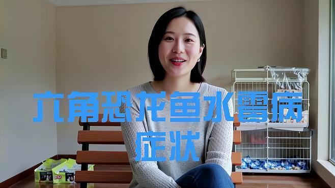 如何判斷龍魚是否感染霉菌? 龍魚百科 第5張 如何判斷龍魚是否感染霉菌? 如何判斷龍魚是否感染霉菌? 龍魚百科 第5張