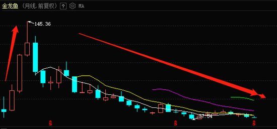 金龍魚實時股價：5月5日金龍魚實時股價 金龍魚實時股價：5月5日金龍魚實時股價 龍魚百科 第3張