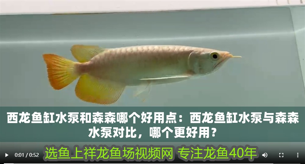 西龍魚缸水泵和森森哪個好用點：西龍魚缸水泵與森森水泵對比，哪個更好用？ 西龍魚缸水泵和森森哪個好用點：西龍魚缸水泵與森森水泵對比，哪個更好用？ 龍魚百科 第1張