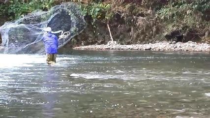 金龍魚在什么水域：東南亞河流生態(tài)特點(diǎn),金龍魚繁殖季節(jié)觀察,金龍魚人工養(yǎng)殖技巧 金龍魚在什么水域：東南亞河流生態(tài)特點(diǎn),金龍魚繁殖季節(jié)觀察,金龍魚人工養(yǎng)殖技巧 龍魚百科 第4張
