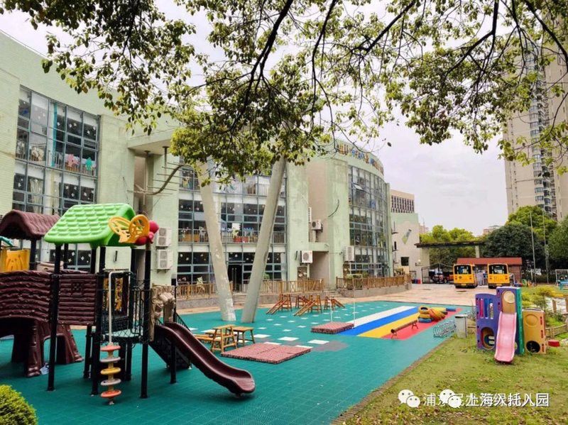 浦東新區小龍魚幼兒園怎么樣啊收費 浦東新區小龍魚幼兒園怎么樣啊收費 龍魚百科 第2張