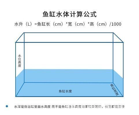養龍魚的水位：養龍魚的水位對于其生長和健康至關重要 養龍魚的水位：養龍魚的水位對于其生長和健康至關重要 龍魚百科 第1張