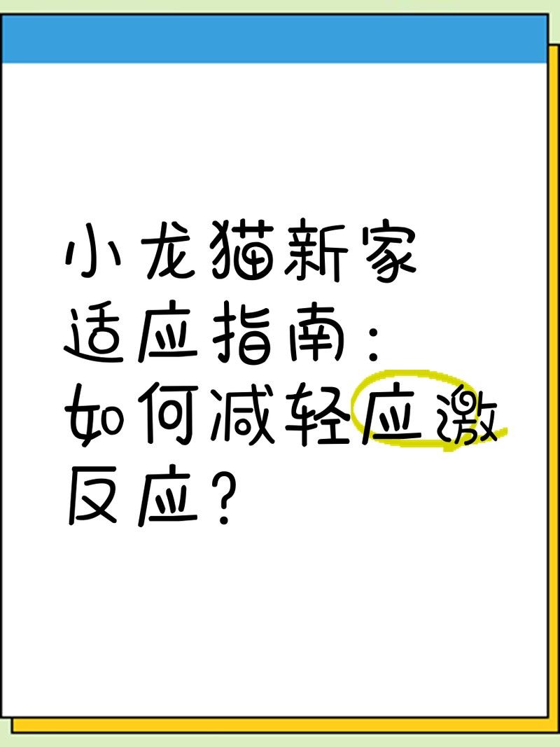 龍貓引入后需要多久的適應(yīng)期？ 龍貓引入后需要多久的適應(yīng)期？ 龍魚百科 第2張