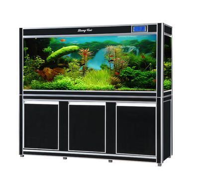 龍魚缸：關(guān)于龍魚缸的一些詳細(xì)信息 龍魚缸：關(guān)于龍魚缸的一些詳細(xì)信息 龍魚百科 第1張