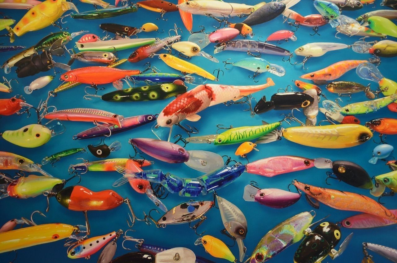 海鱸魚價格2021年市場價（海鱸魚多少錢一斤市場價2021） 海鱸魚價格2021年市場價（海鱸魚多少錢一斤市場價2021） 龍魚百科 第1張