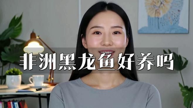 黑鱗龍魚飼養難度如何？ 黑鱗龍魚飼養難度如何？ 龍魚百科 第1張