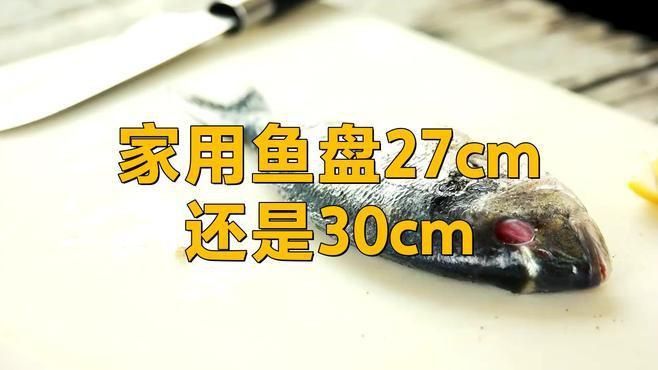 魚擺件的高度如何確定? 龍魚百科 第3張 魚擺件的高度如何確定? 魚擺件的高度如何確定? 龍魚百科 第3張