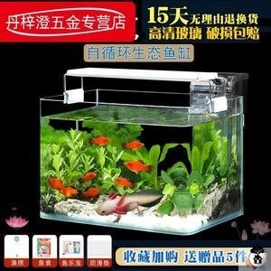 養六角恐龍魚的魚缸（六角恐龍魚魚缸布置技巧）