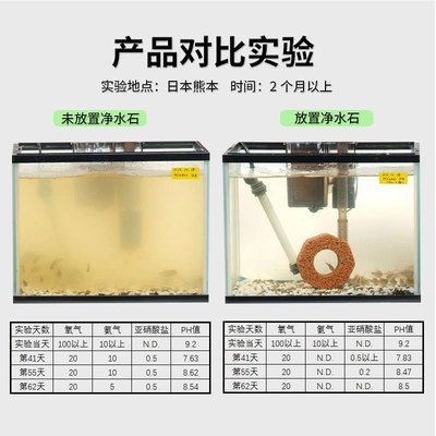 龍魚撞缸子：龍魚撞缸蓋，原因分析與預防措施
