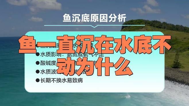 如何判斷曼龍魚(yú)是否患??？