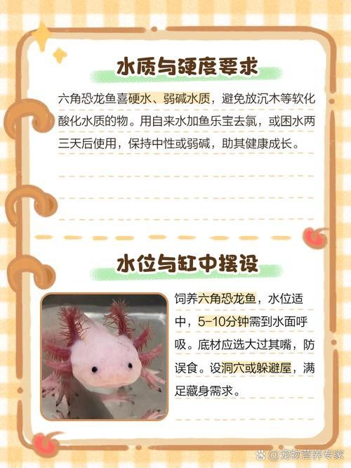 恐龍魚好養嗎價錢多少錢一條啊 恐龍魚好養嗎價錢多少錢一條啊 龍魚百科 第5張