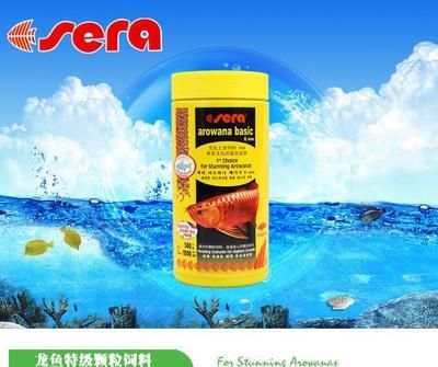 龍魚便宜了【養殖技術的進步可能降低了龍魚的生產成本，從而影響龍魚的價格】