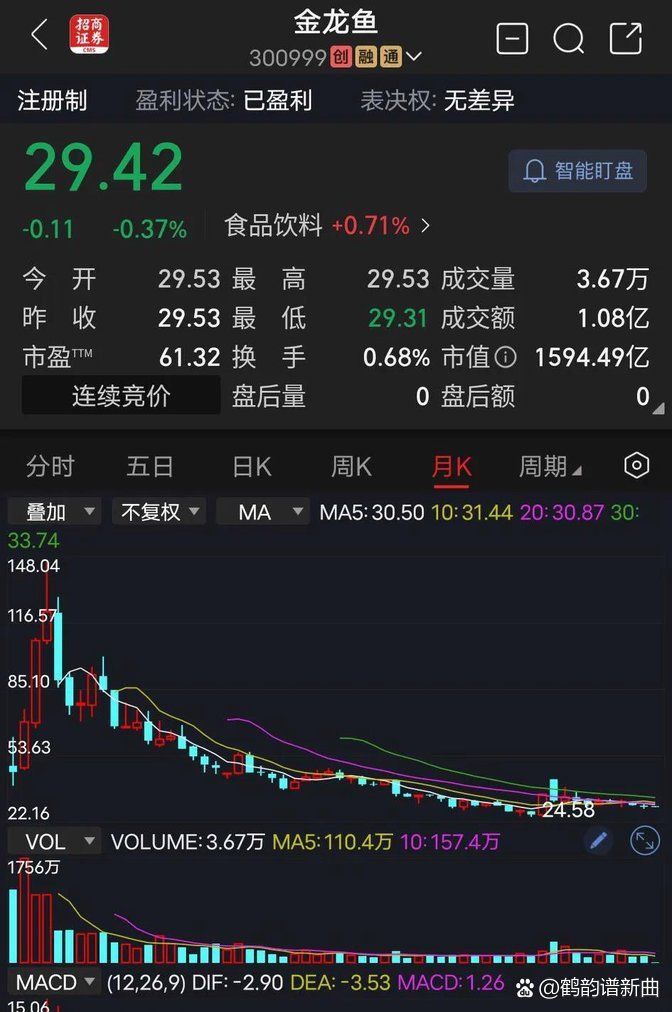 高背金龍魚多少錢一條 高背金龍魚多少錢一條 龍魚百科 第11張