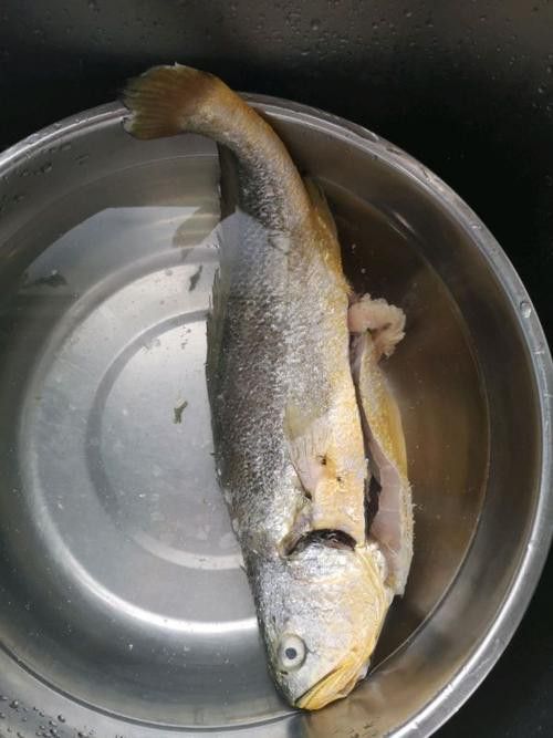 金龍魚調和油哪個系列最適合涼拌