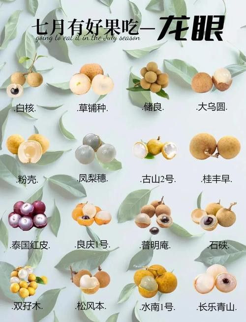 如何減少紅龍眼的副作用？ 如何減少紅龍眼的副作用？ 龍魚百科 第1張