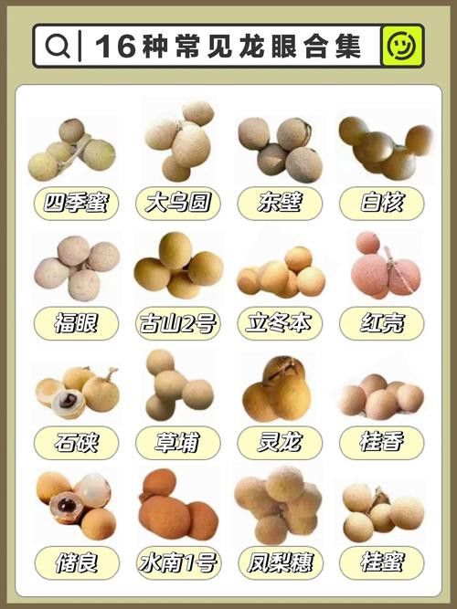 如何減少紅龍眼的副作用？ 如何減少紅龍眼的副作用？ 龍魚百科 第2張