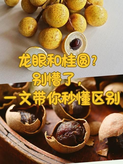 如何減少紅龍眼的副作用？ 如何減少紅龍眼的副作用？ 龍魚百科 第6張