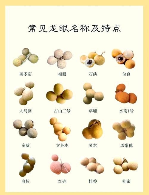 如何減少紅龍眼的副作用？ 如何減少紅龍眼的副作用？ 龍魚百科 第5張