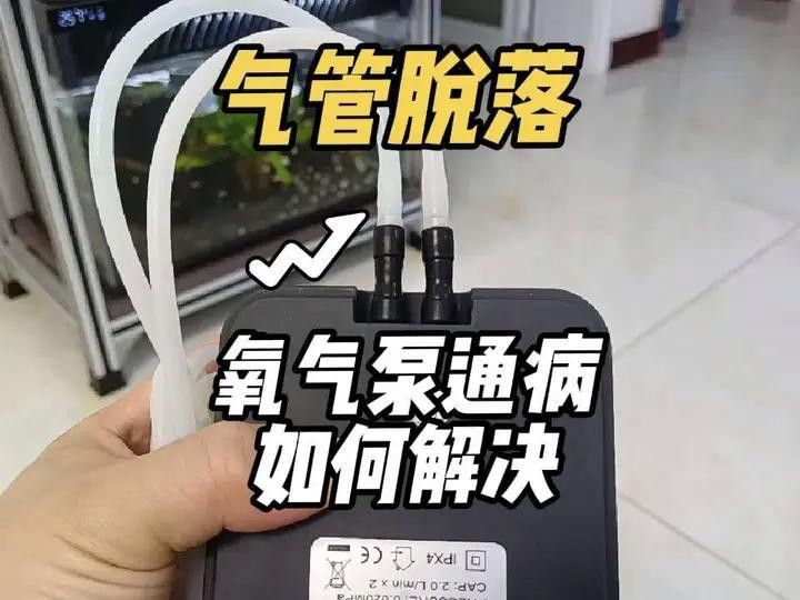 西龍魚缸水泵感覺不出氧氣