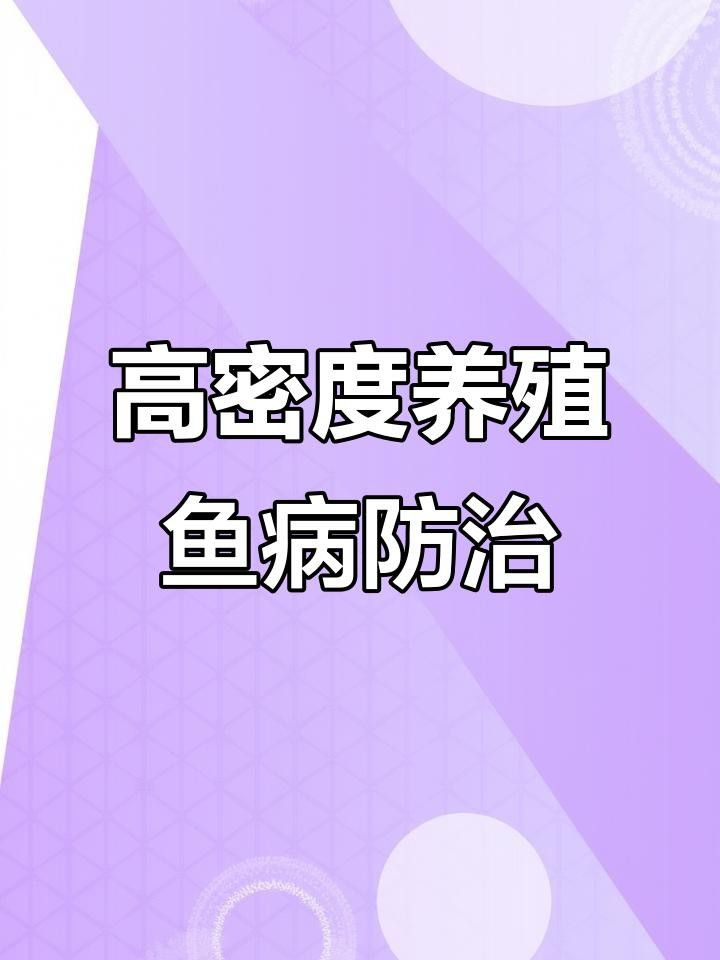 如何預防雷龍魚細菌感染？
