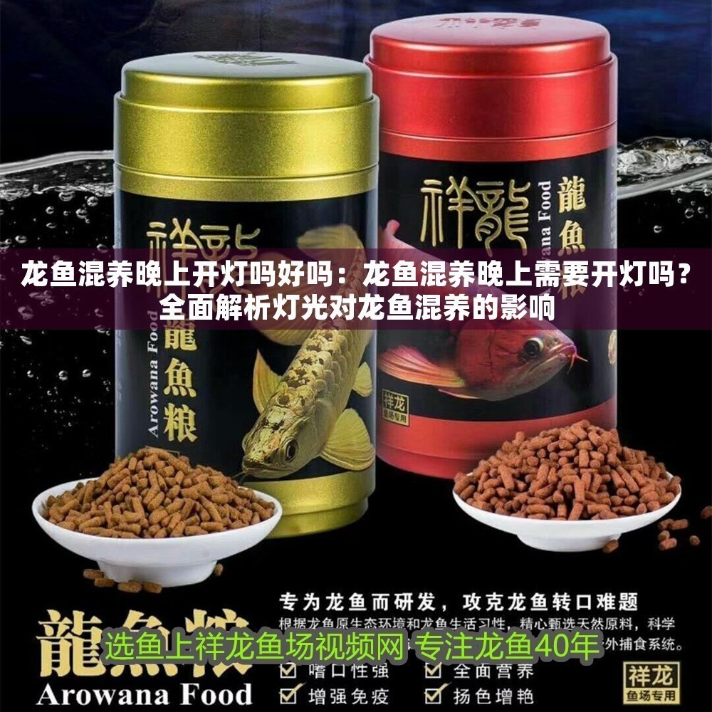 龍魚混養晚上開燈嗎好嗎:龍魚混養晚上需要開燈嗎?全面解析燈光對龍魚混養的影響 龍魚百科 第1張 龍魚混養晚上開燈嗎好嗎:龍魚混養晚上需要開燈嗎?全面解析燈光對龍魚混養的影響 龍魚混養晚上開燈嗎好嗎:龍魚混養晚上需要開燈嗎?全面解析燈光對龍魚混養的影響 龍魚百科 第1張