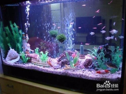 龍魚缸溫度30度高嗎怎么辦呢：如何自然調節魚缸水溫,夏季龍魚養護技巧，龍魚缸換水頻率建議
