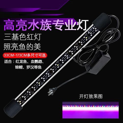 如何選擇適合超血紅龍魚的LED燈？
