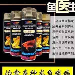 龍魚怎么預防內寄病毒：如何預防龍魚感染內寄病毒