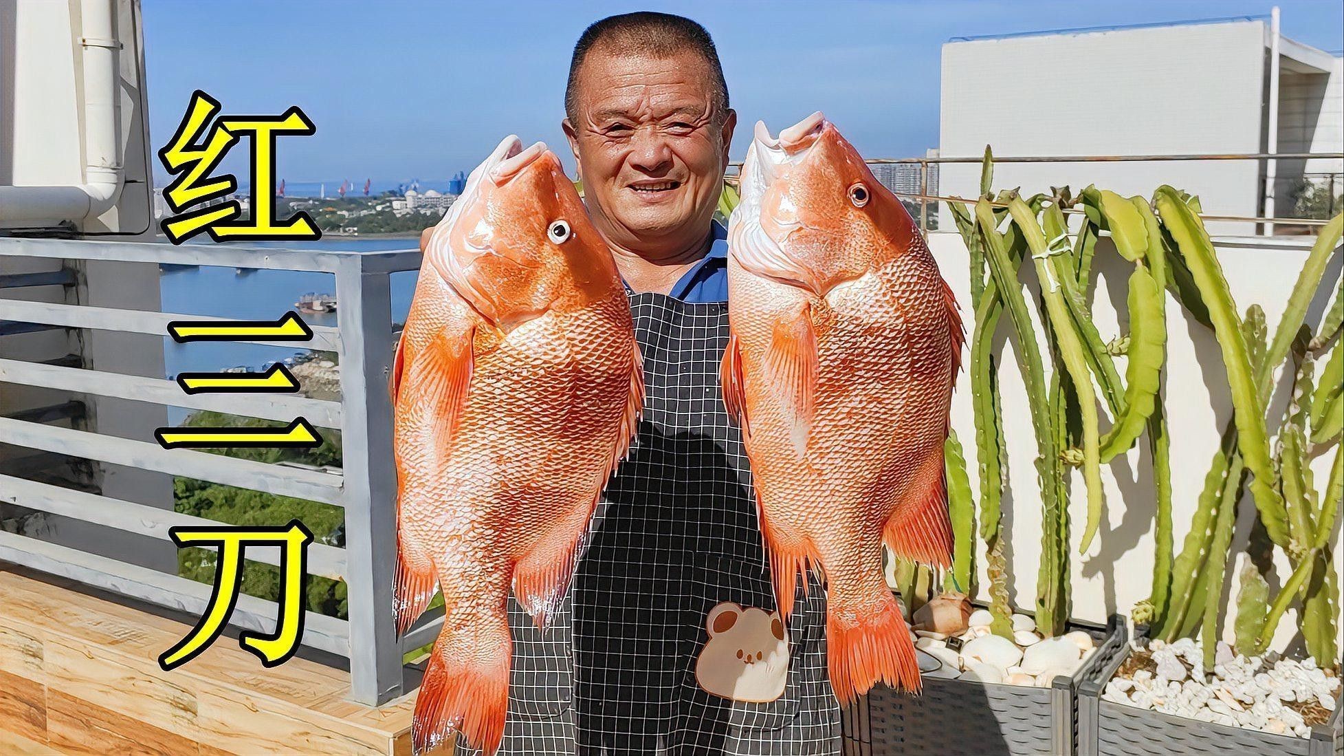 紅金龍魚圖片高清大圖大全 紅金龍魚圖片高清大圖大全 龍魚百科 第30張