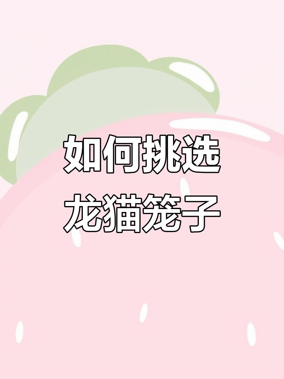 有哪些適合多只龍貓的籠子 有哪些適合多只龍貓的籠子 龍魚百科 第9張