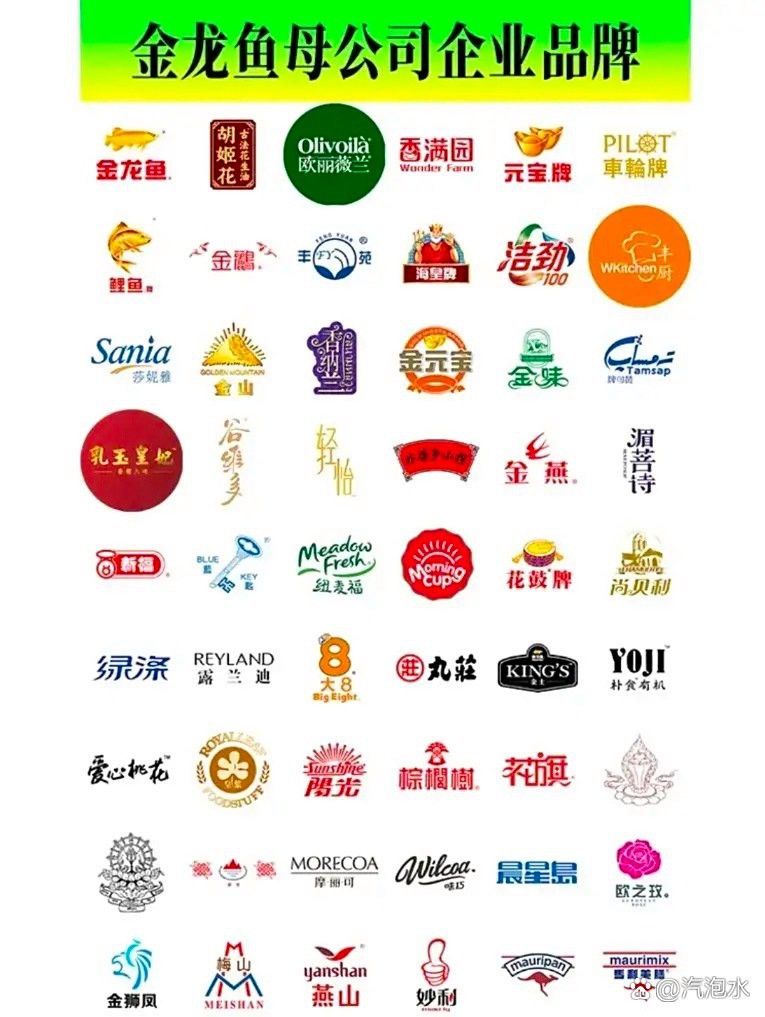 有哪些品牌金龍魚比較受歡迎？ 有哪些品牌金龍魚比較受歡迎？ 龍魚百科 第2張