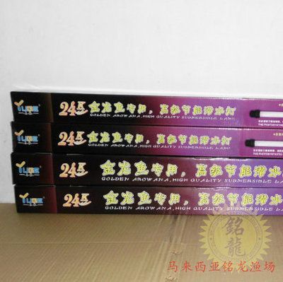 龍魚燈色溫多少合適：龍魚燈色溫的選擇 龍魚燈色溫多少合適：龍魚燈色溫的選擇 龍魚百科 第4張