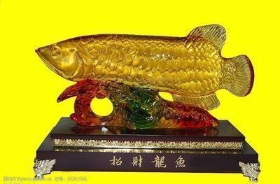 龍魚招財鎮宅：龍魚在風水中招財鎮宅的作用和象征意義
