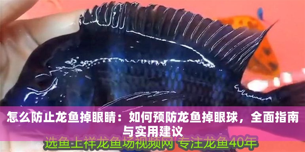 怎么防止龍魚掉眼睛：如何預(yù)防龍魚掉眼球，全面指南與實(shí)用建議