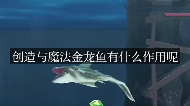 金龍魚一千萬 金龍魚一千萬 龍魚百科 第11張