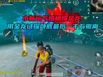 金龍魚一千萬 金龍魚一千萬 龍魚百科 第14張