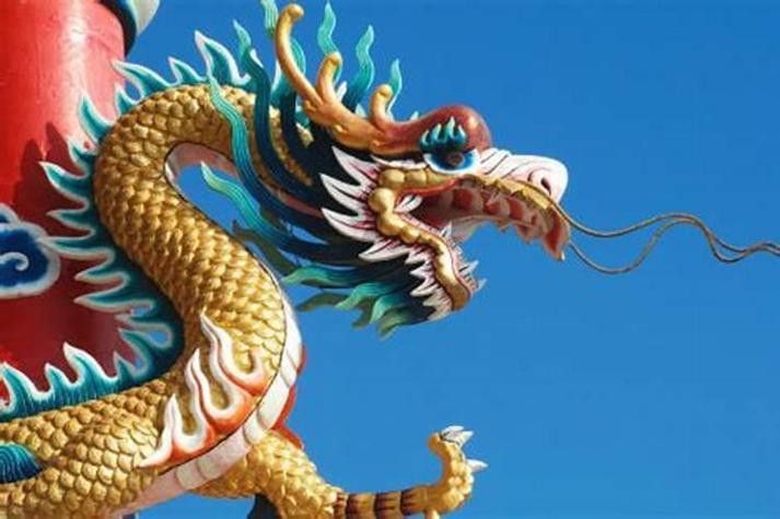 現(xiàn)在養(yǎng)龍魚能賺錢嗎