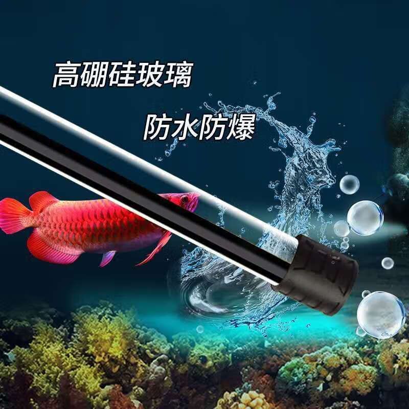龍魚專用魚缸：關于龍魚魚缸的一些風水學建議 龍魚專用魚缸：關于龍魚魚缸的一些風水學建議 龍魚百科 第5張