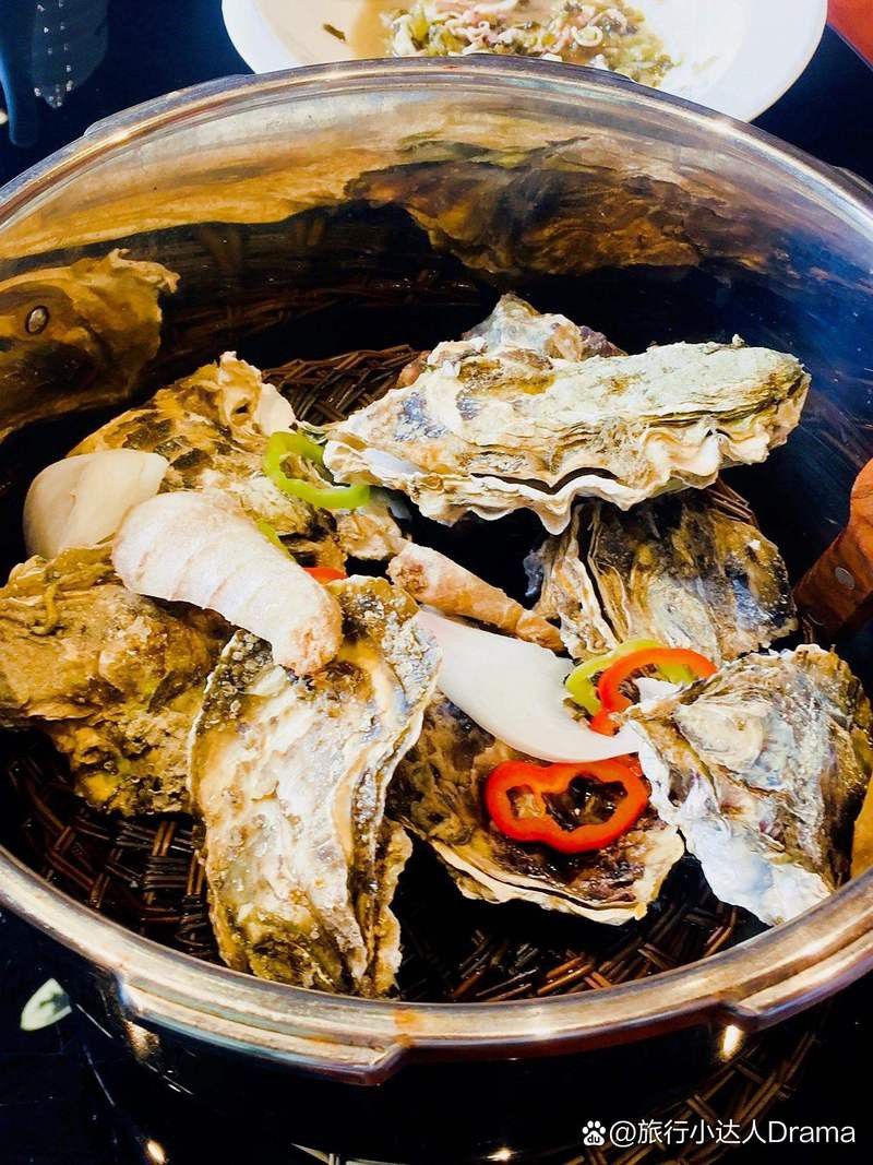 溫州龍魚哪里賣的最好看