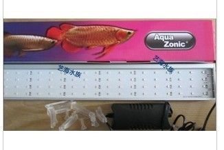 仟湖龍魚燈怎么樣（仟湖龍魚燈促進龍魚發色）
