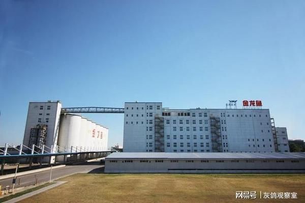 金龍魚屬于中糧集團嗎？（金龍魚品牌實際上隸屬于新加坡豐益集團olaminternational）