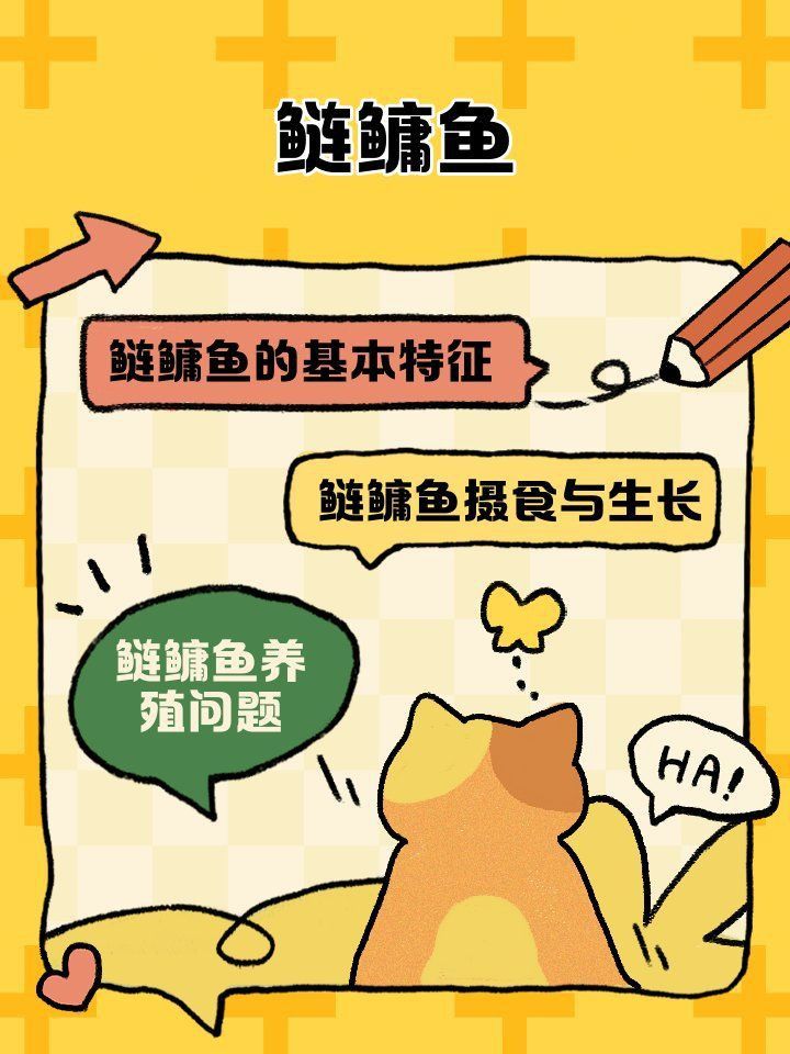 鰱鳙幼苗長什么樣