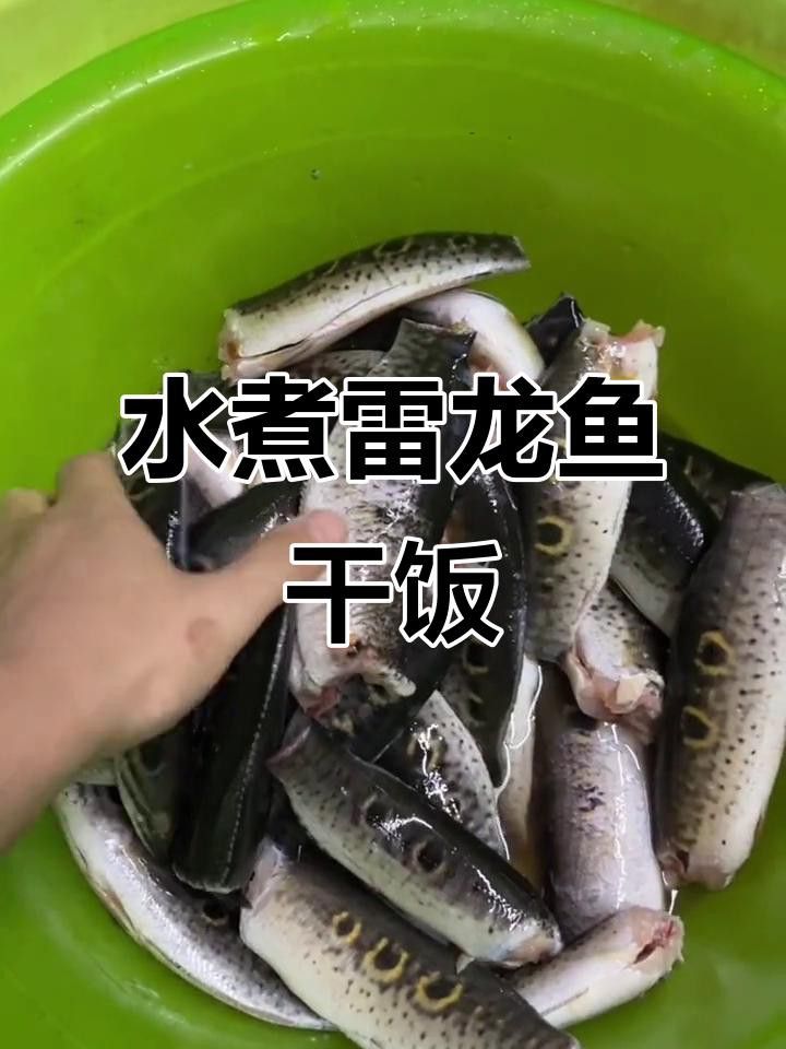 烹飪雷龍魚需要多長時間？